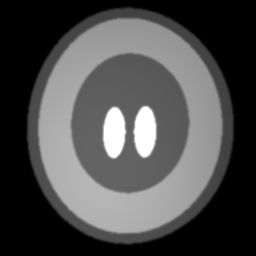 f5_bias_bspline · moving (input)